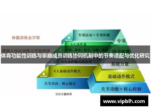 体育功能性训练与家庭成员训练协同机制中的节奏适配与优化研究
