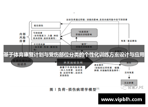 基于体育康复计划与受伤部位分类的个性化训练方案设计与应用